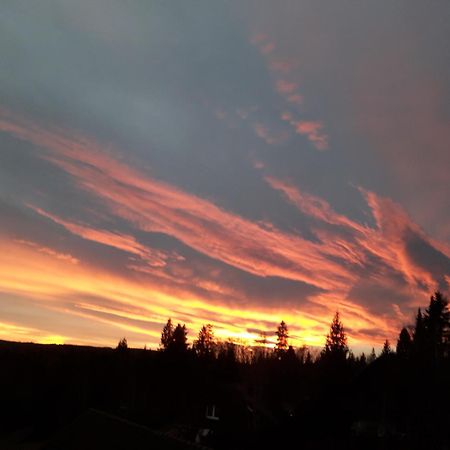 Ferienwohnung Haus Finkbeiner Kniebis Esterno foto