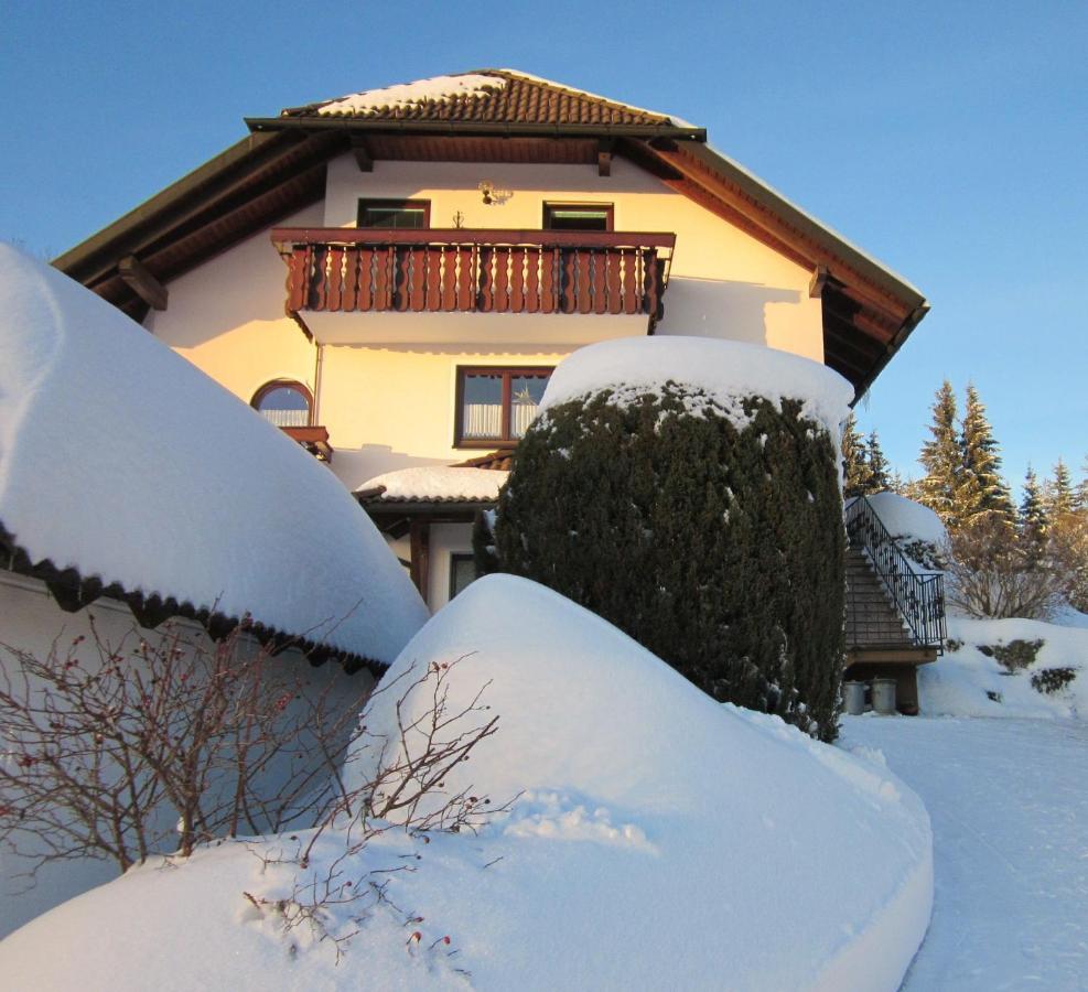 Ferienwohnung Haus Finkbeiner Kniebis Esterno foto