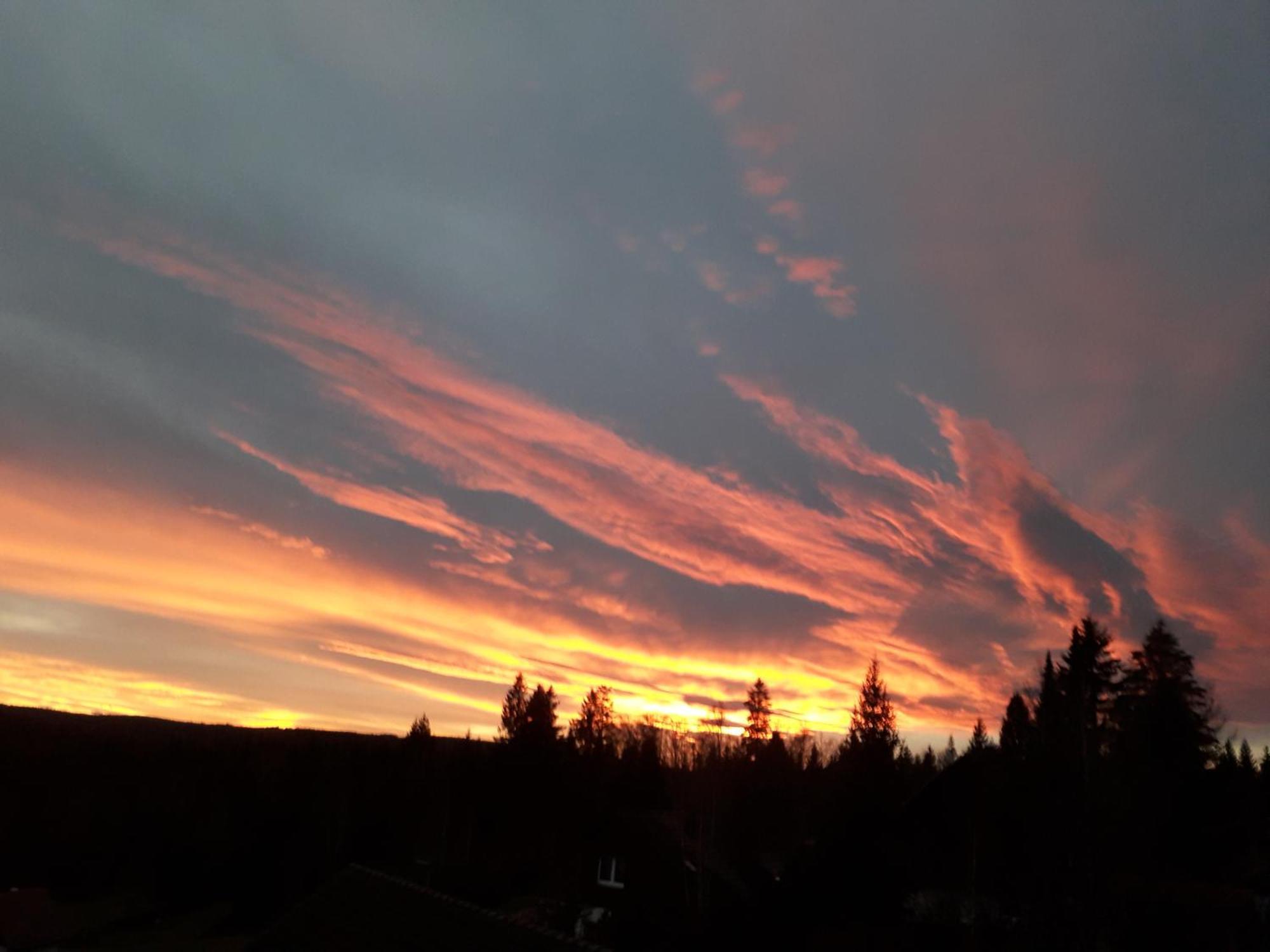 Ferienwohnung Haus Finkbeiner Kniebis Esterno foto